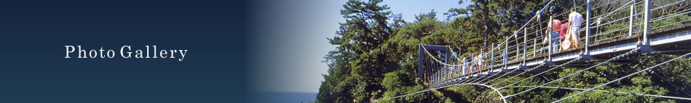 PhotoGallery